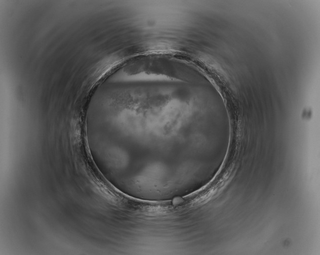 X0000100331401200806121116