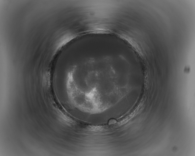 X0000100331402200806121116