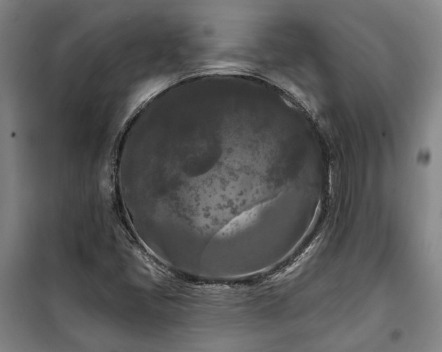 X0000100331405200806121116