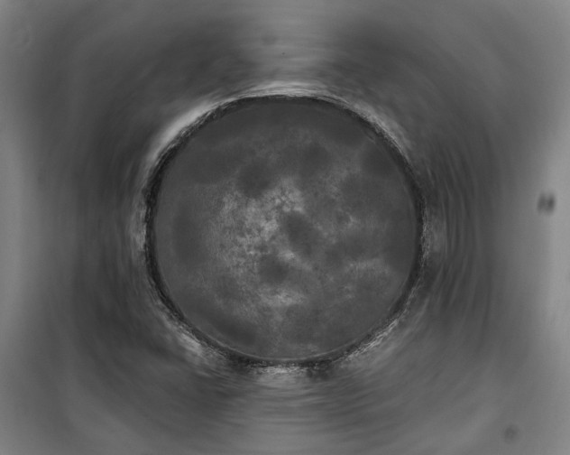 X0000100331406200806121117