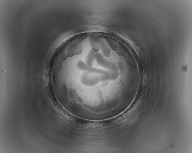 X0000100331407200806121117