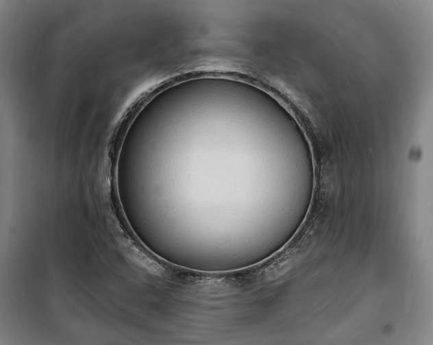 X0000100331408200806121117