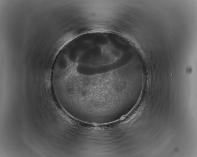 X0000100331409200806121117