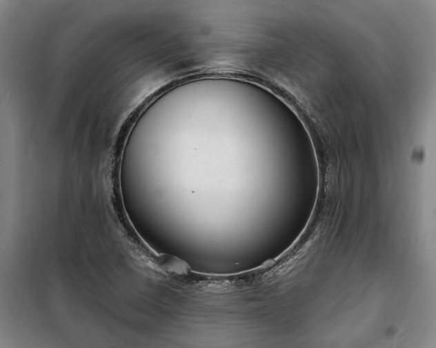 X0000100331410200806121117