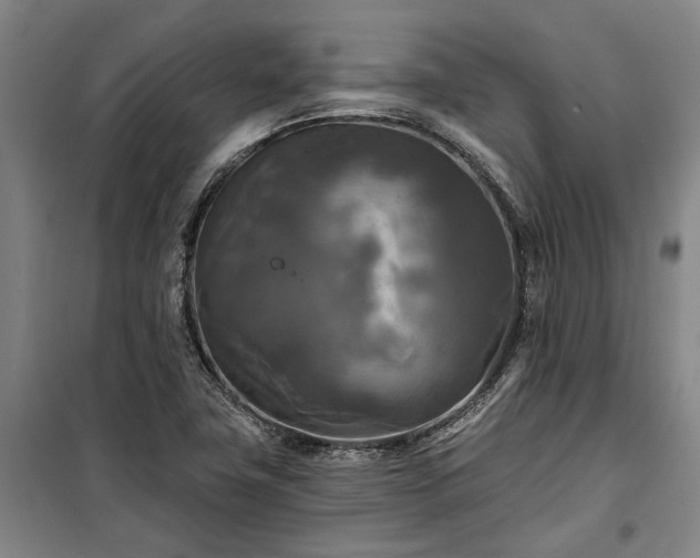 X0000100331411200806121117