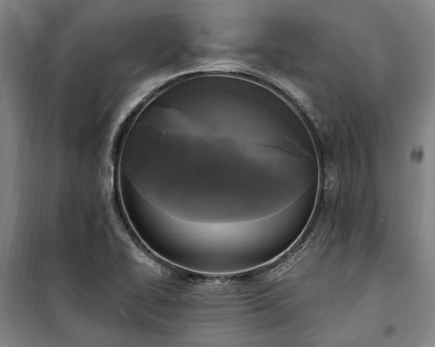 X0000100331414200806121117