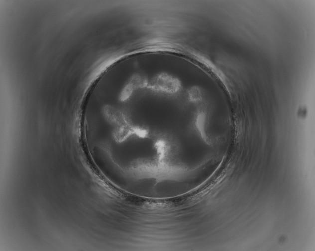 X0000100331415200806121117