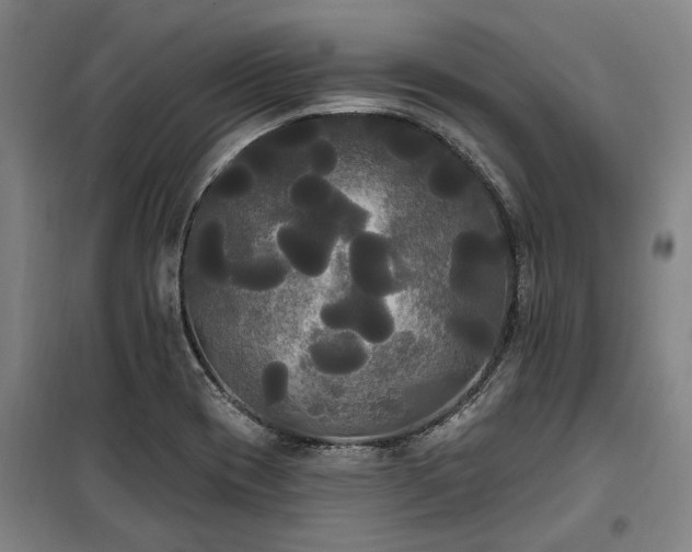 X0000100331417200806121117