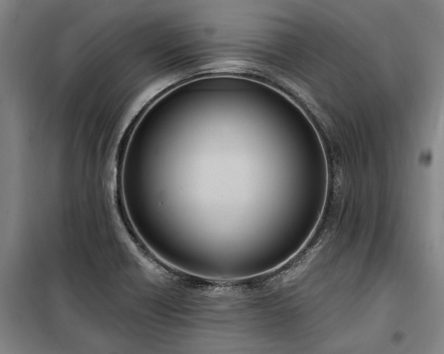 X0000100331418200806121117