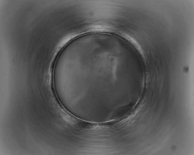 X0000100331419200806121117