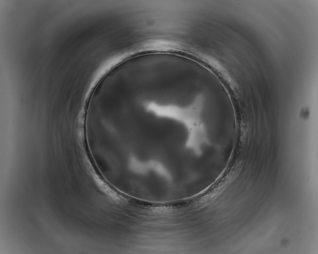 X0000100331421200806121117