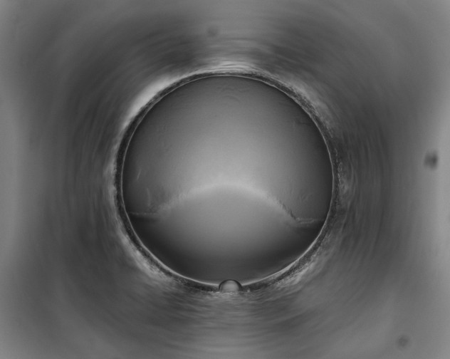 X0000100331422200806121117