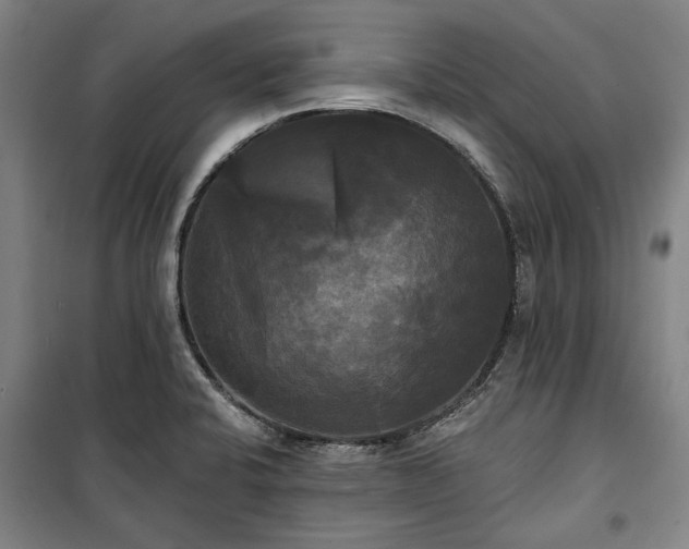 X0000100331424200806121117