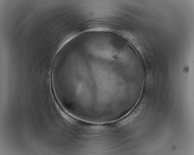 X0000100331425200806121117