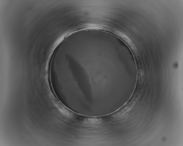 X0000100331427200806121117