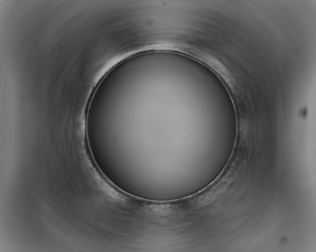 X0000100331428200806121117