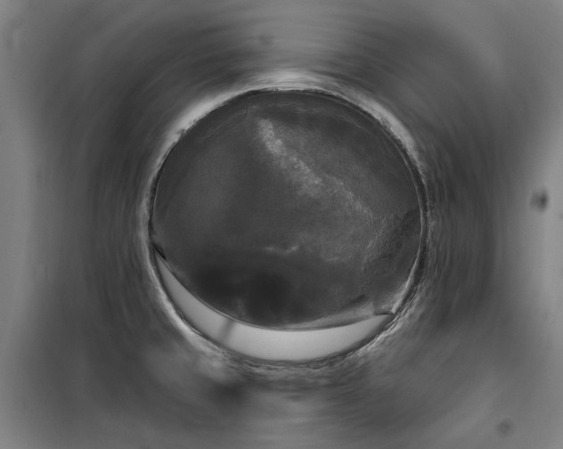 X0000100331429200806121117