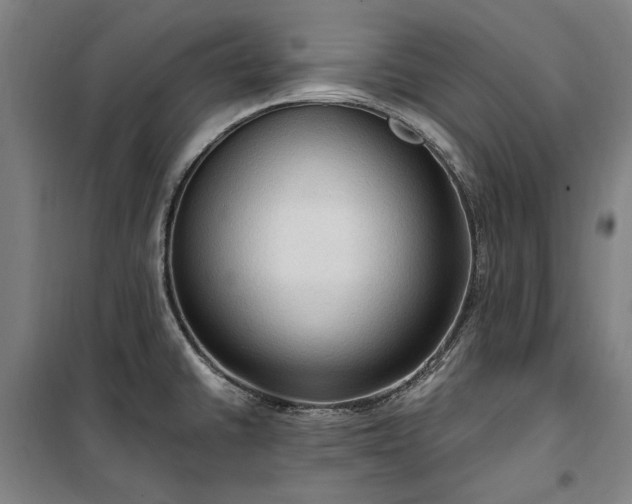 X0000100331430200806121117