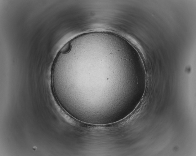 X0000100331431200806121117