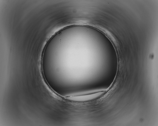 X0000100331432200806121117