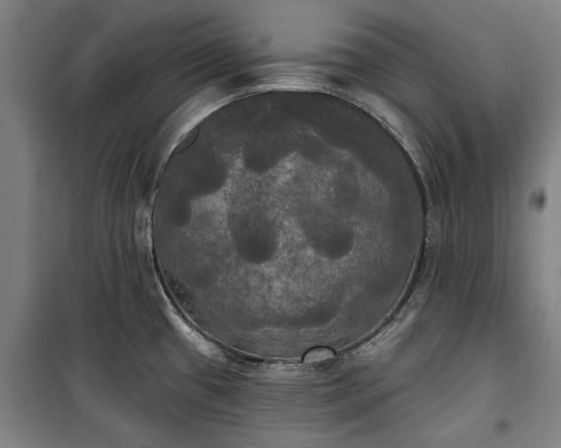 X0000100331433200806121117