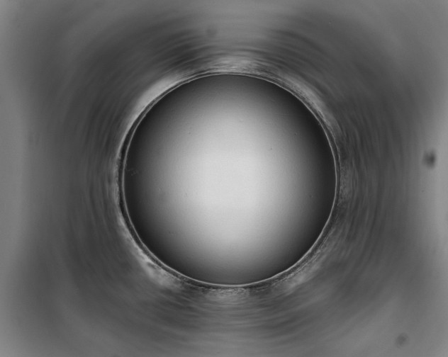 X0000100331434200806121117