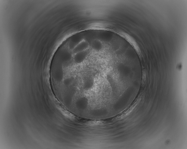 X0000100331435200806121117