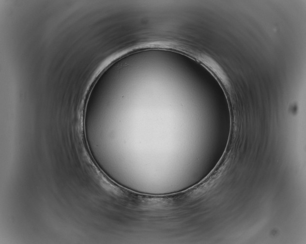 X0000100331436200806121117