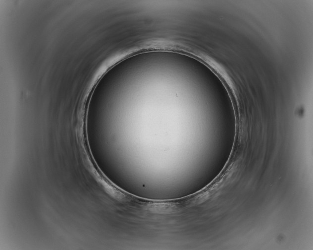 X0000100331437200806121117