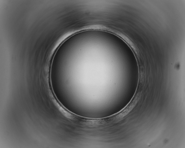 X0000100331438200806121117