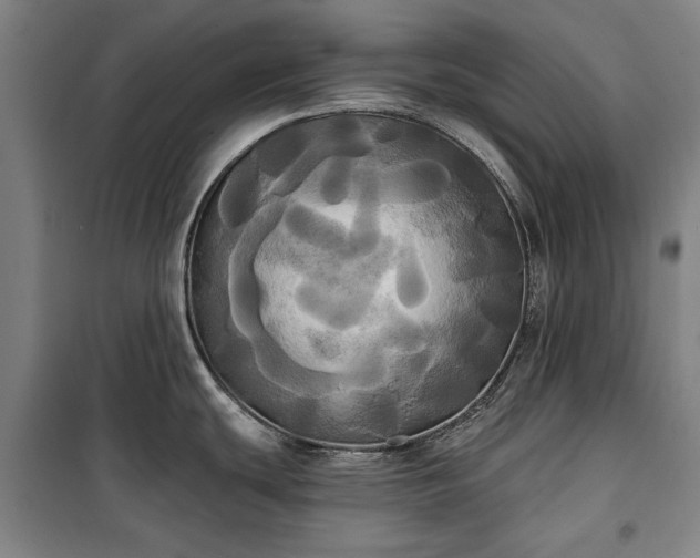 X0000100331439200806121117