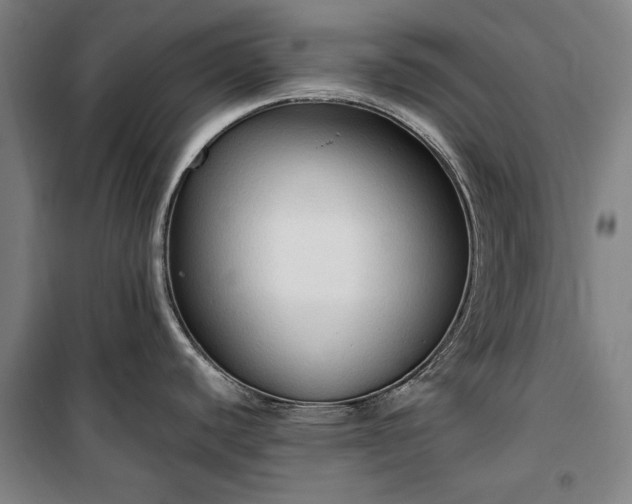 X0000100331440200806121117