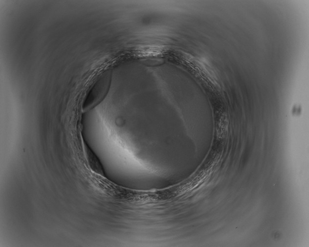 X0000100331441200806121116