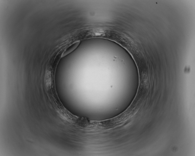 X0000100331442200806121116