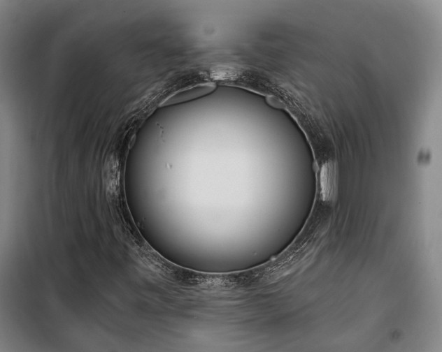 X0000100331443200806121116