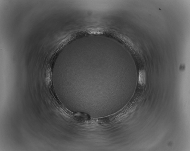 X0000100331444200806121116