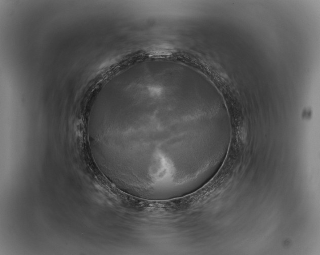 X0000100331445200806121116