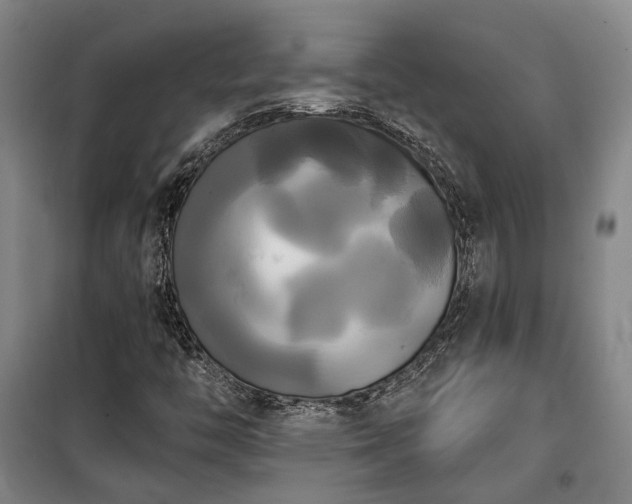 X0000100331446200806121116