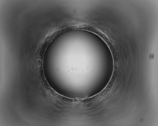 X0000100331447200806121116