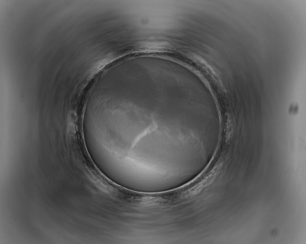 X0000100331449200806121116