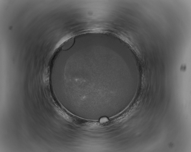 X0000100331450200806121116