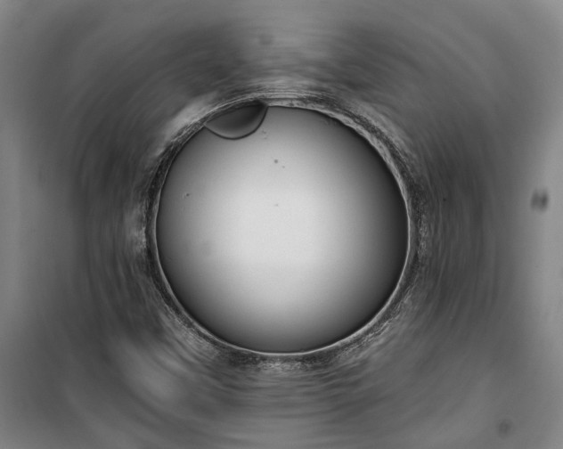 X0000100331451200806121116