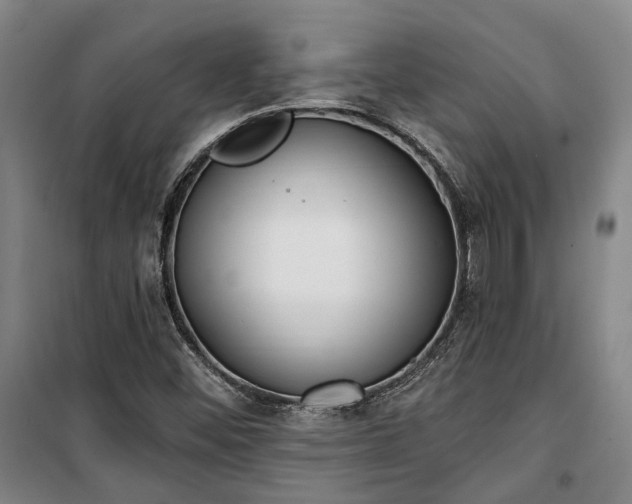 X0000100331452200806121116