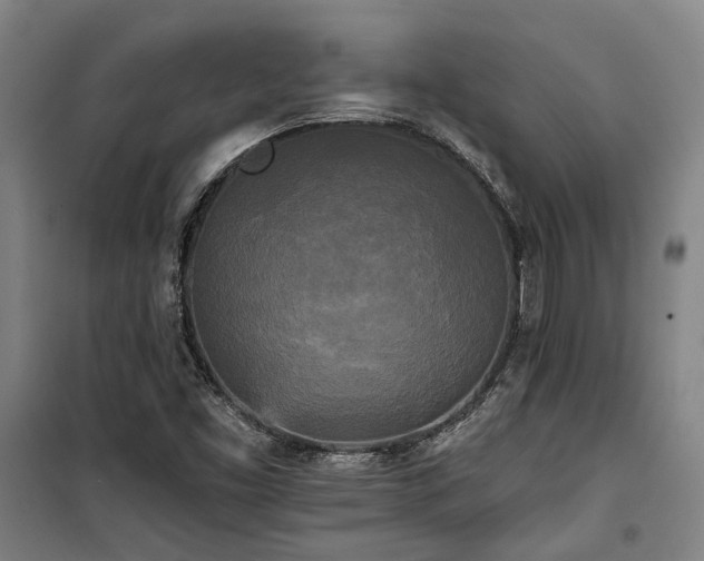 X0000100331453200806121116