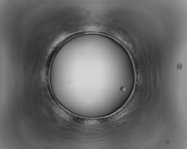 X0000100331454200806121116