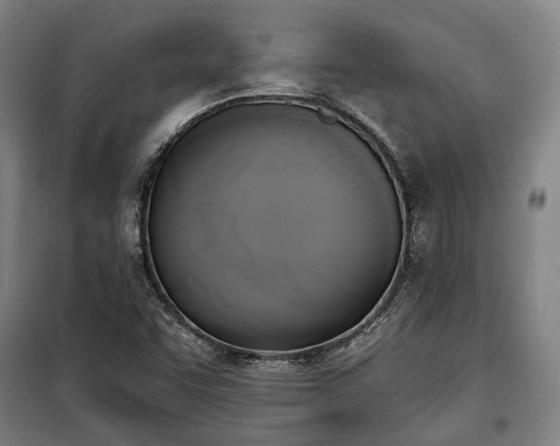 X0000100331455200806121116