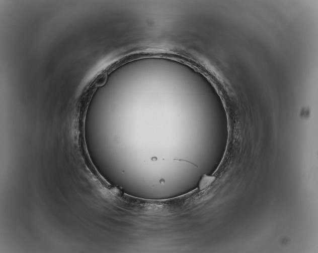 X0000100331456200806121116