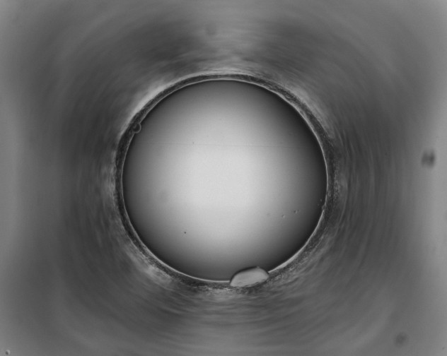 X0000100331460200806121116