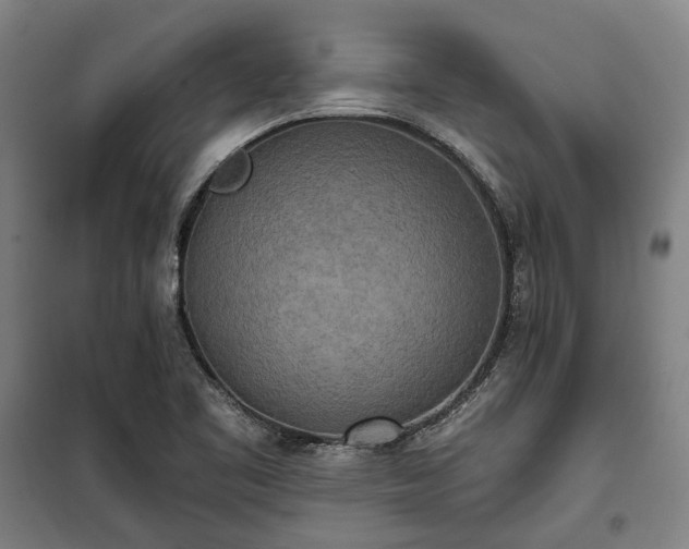 X0000100331461200806121116