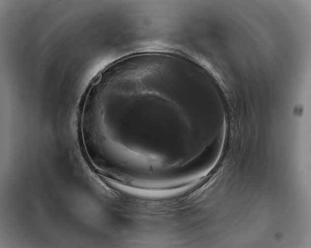 X0000100331463200806121116